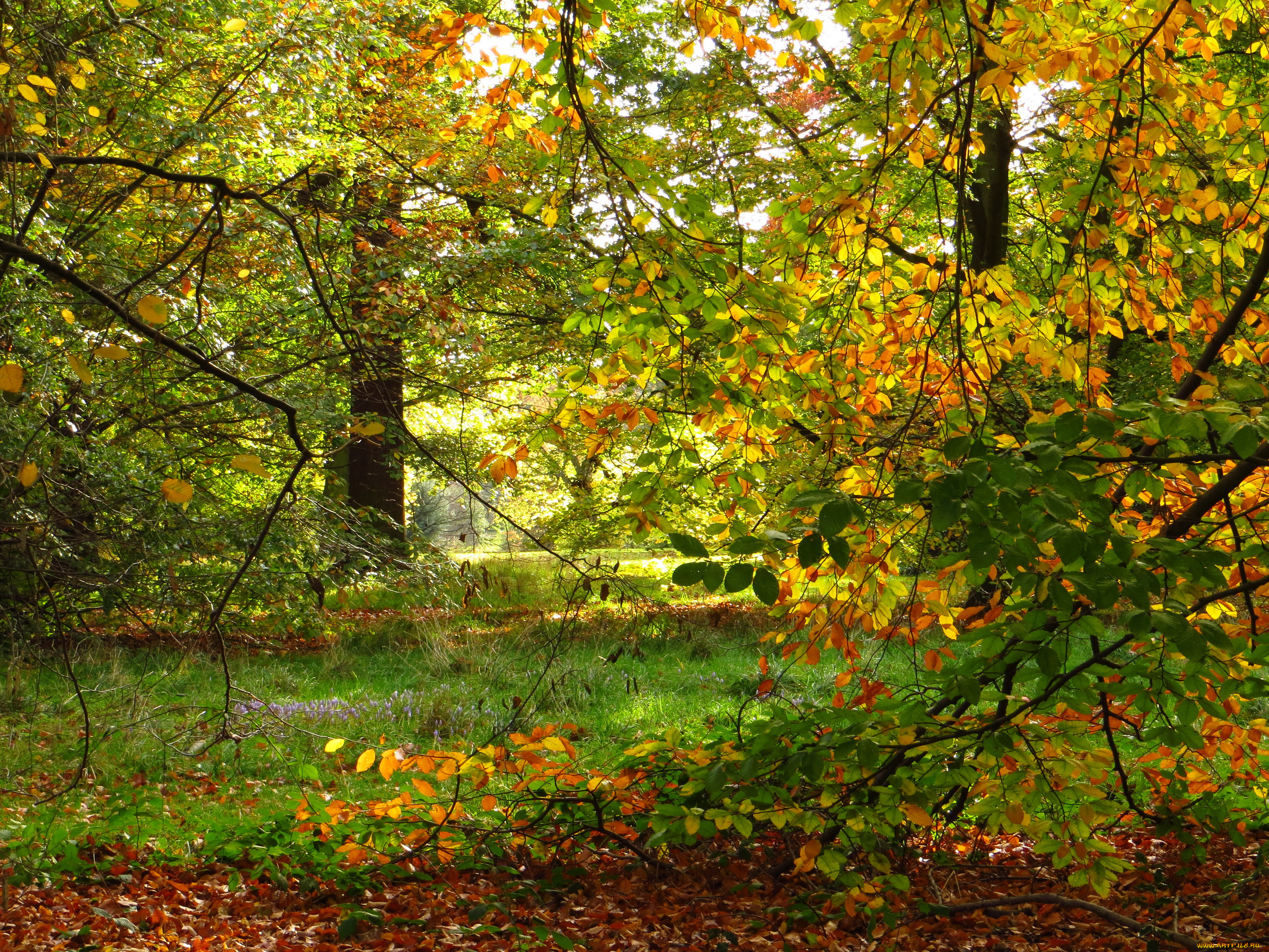 kew, gardens, , , , , , 